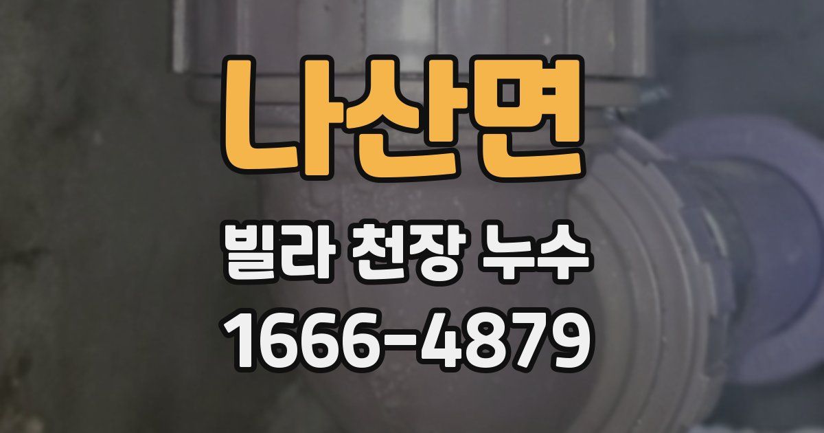 나산면 빌라 천장 누수