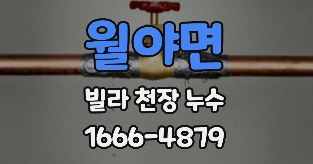 월야면 빌라 천장 누수