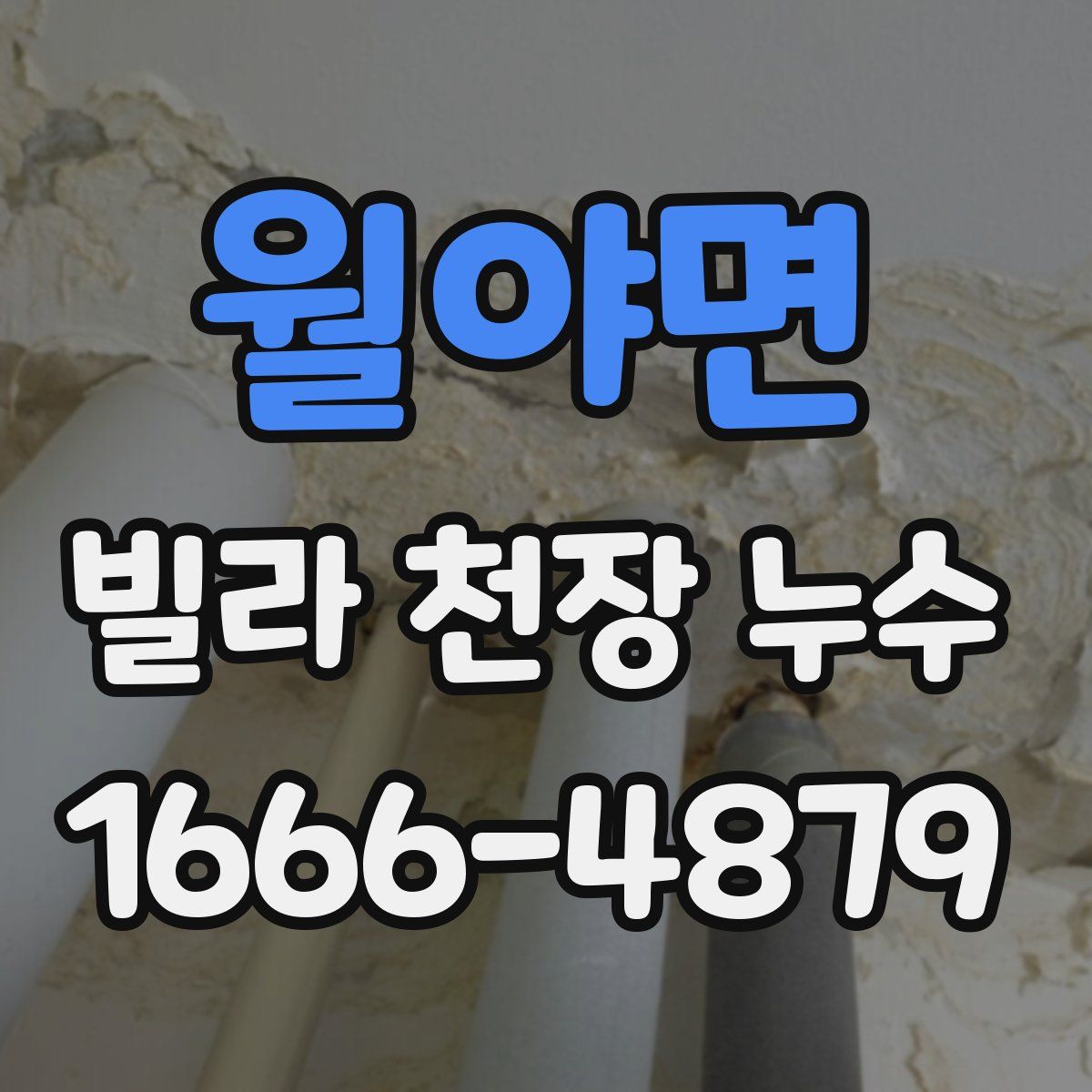 월야면 빌라 천장 누수