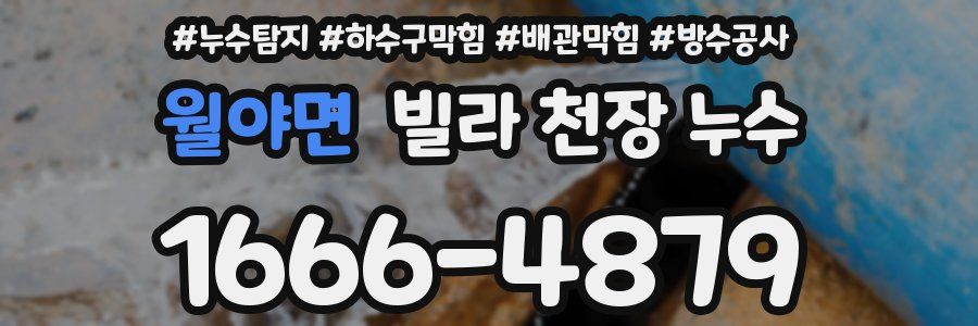 월야면 빌라 천장 누수