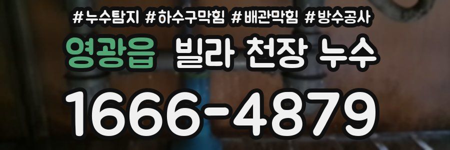 영광읍 빌라 천장 누수