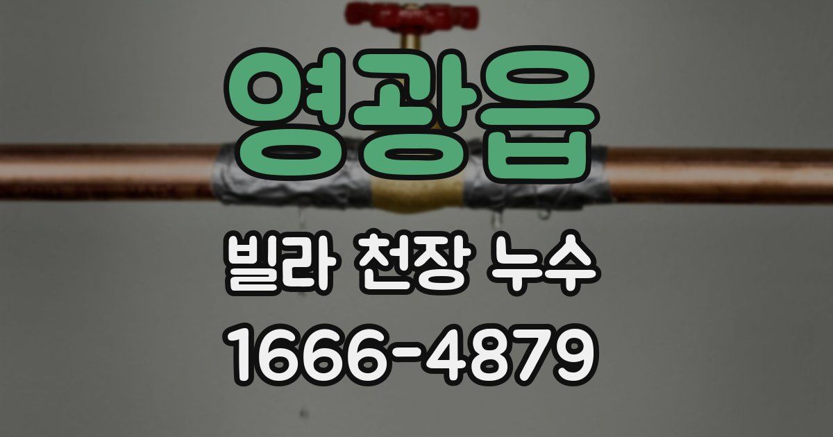 영광읍 빌라 천장 누수