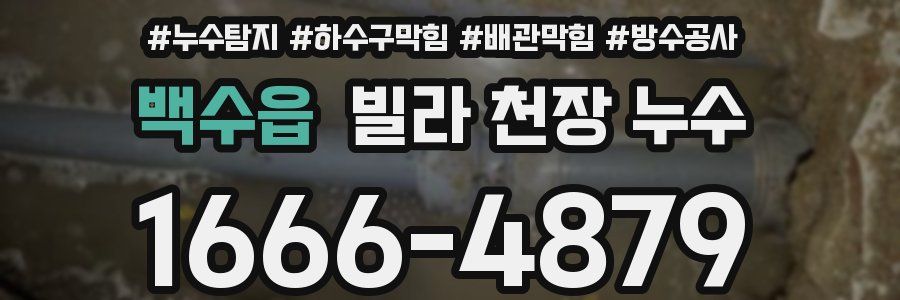 백수읍 빌라 천장 누수