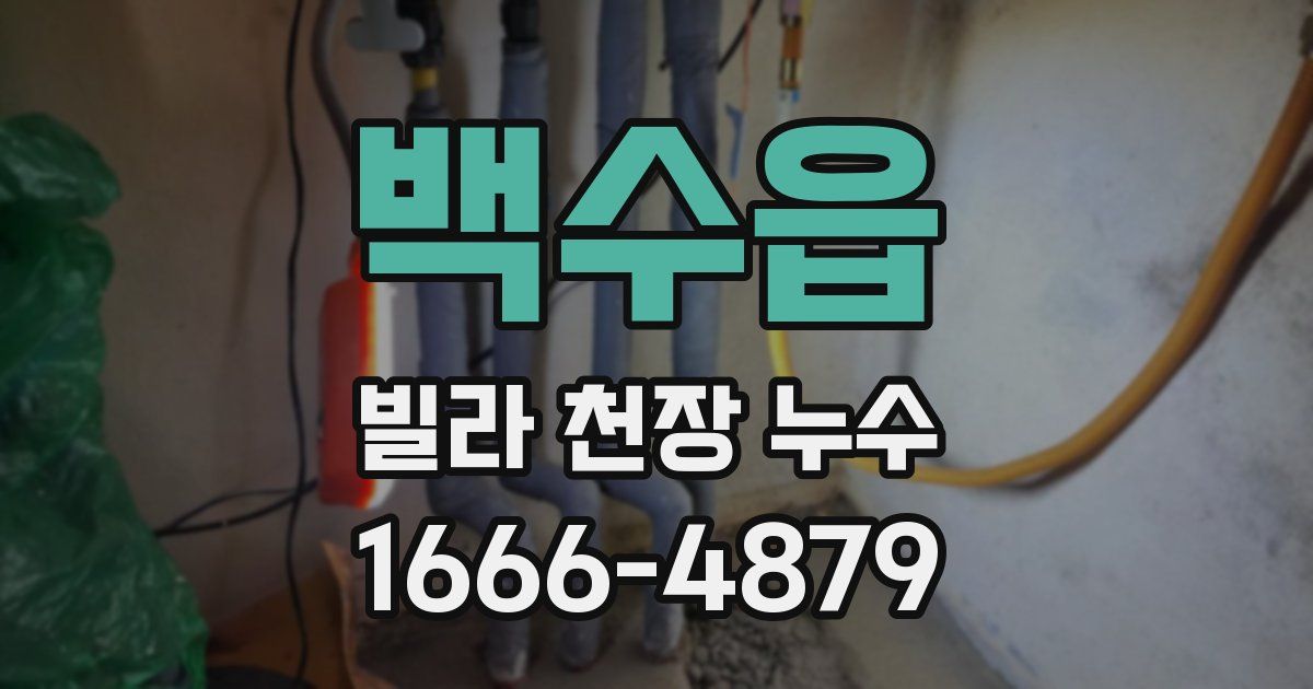 백수읍 빌라 천장 누수