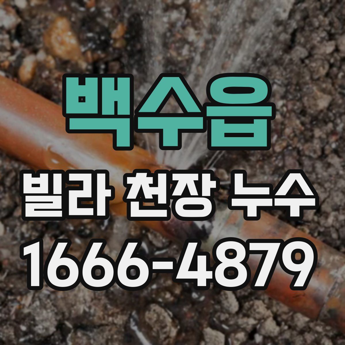 백수읍 빌라 천장 누수