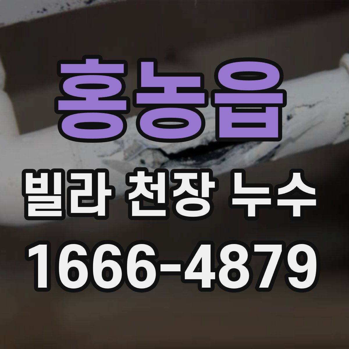 홍농읍 빌라 천장 누수