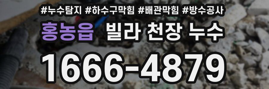 홍농읍 빌라 천장 누수