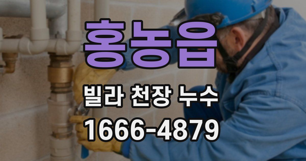 홍농읍 빌라 천장 누수