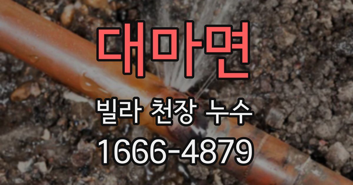 대마면 빌라 천장 누수