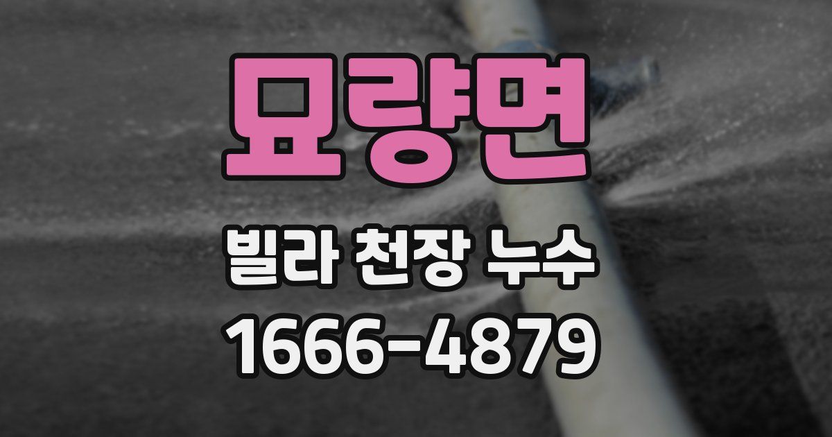 묘량면 빌라 천장 누수