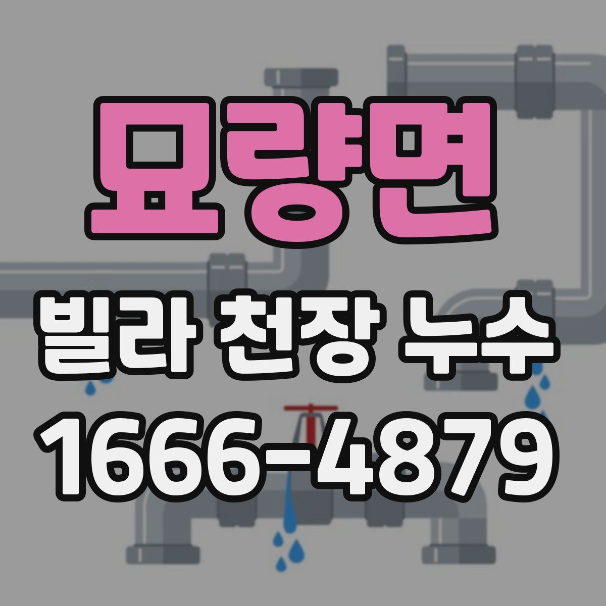 묘량면 빌라 천장 누수