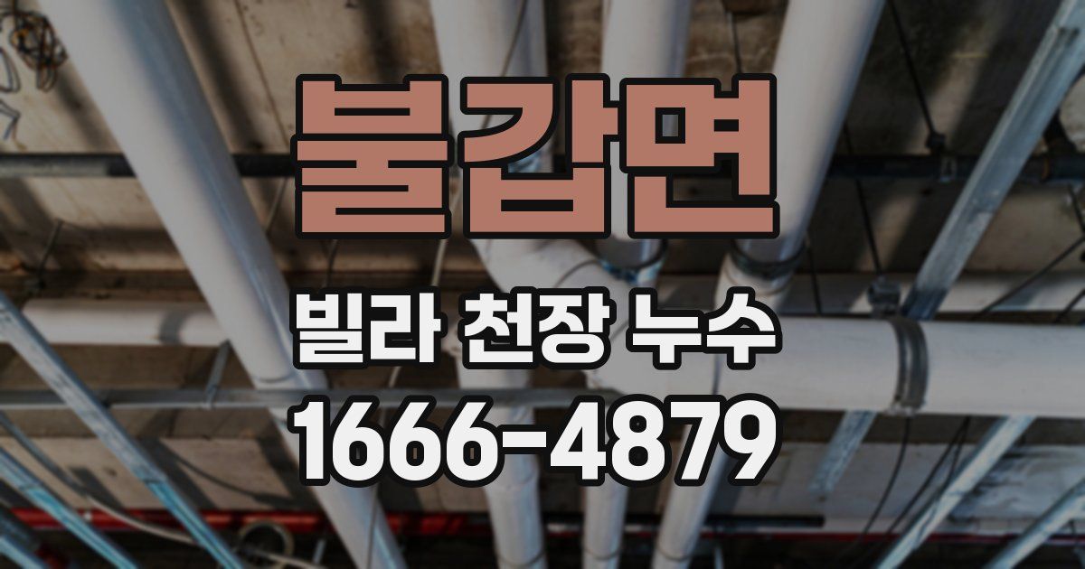 불갑면 빌라 천장 누수
