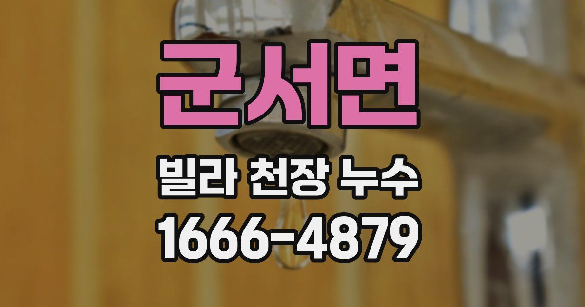 군서면 빌라 천장 누수