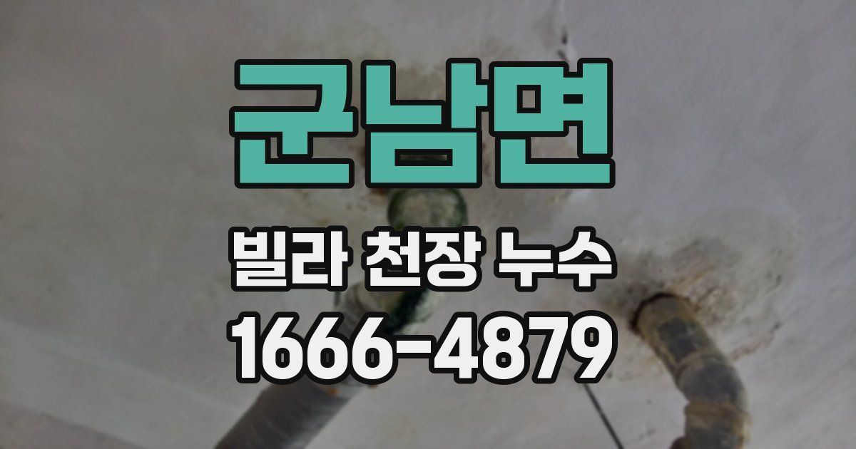군남면 빌라 천장 누수