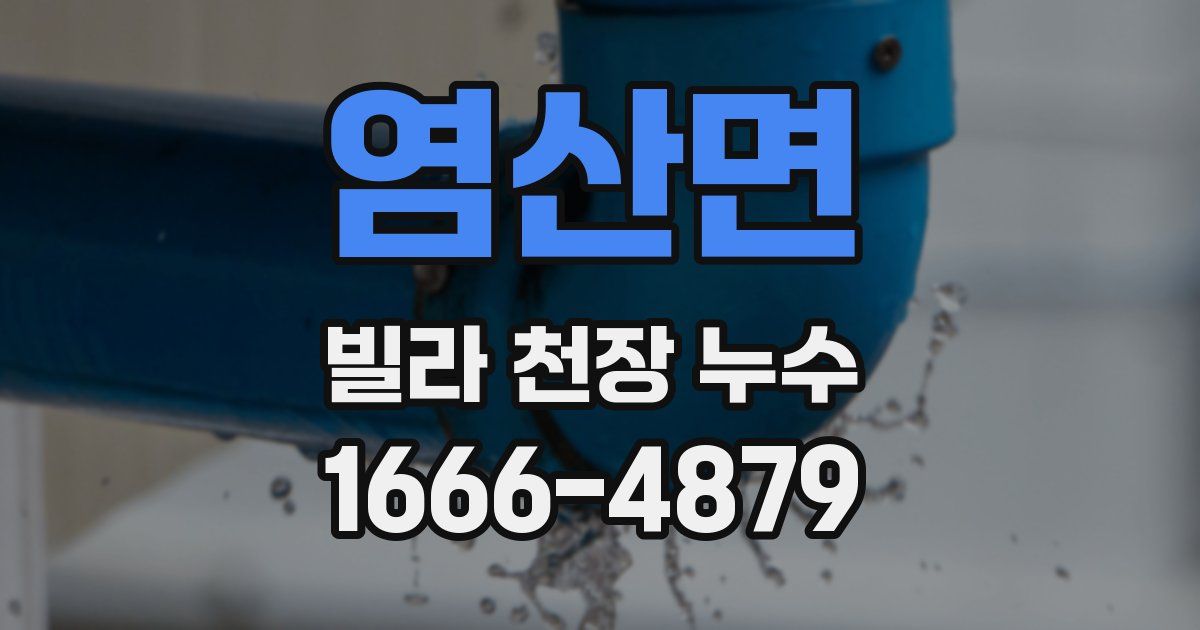 염산면 빌라 천장 누수