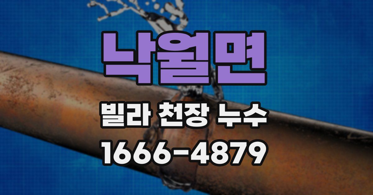 낙월면 빌라 천장 누수