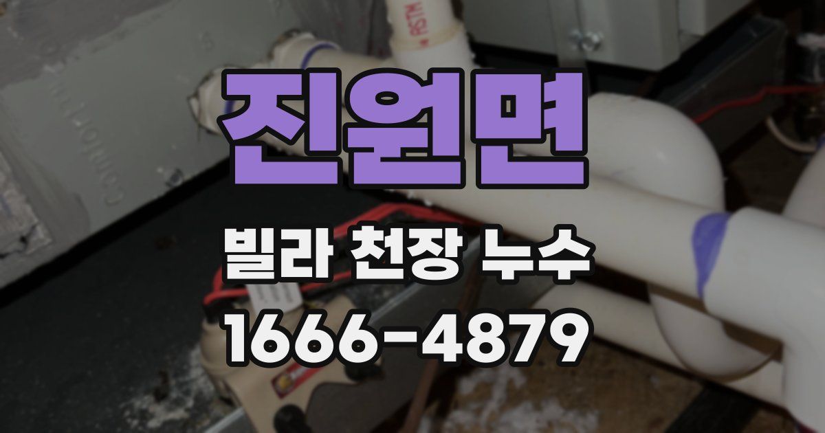진원면 빌라 천장 누수