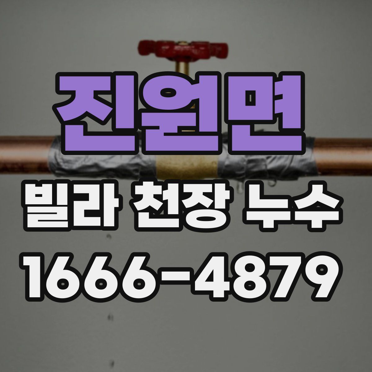 진원면 빌라 천장 누수