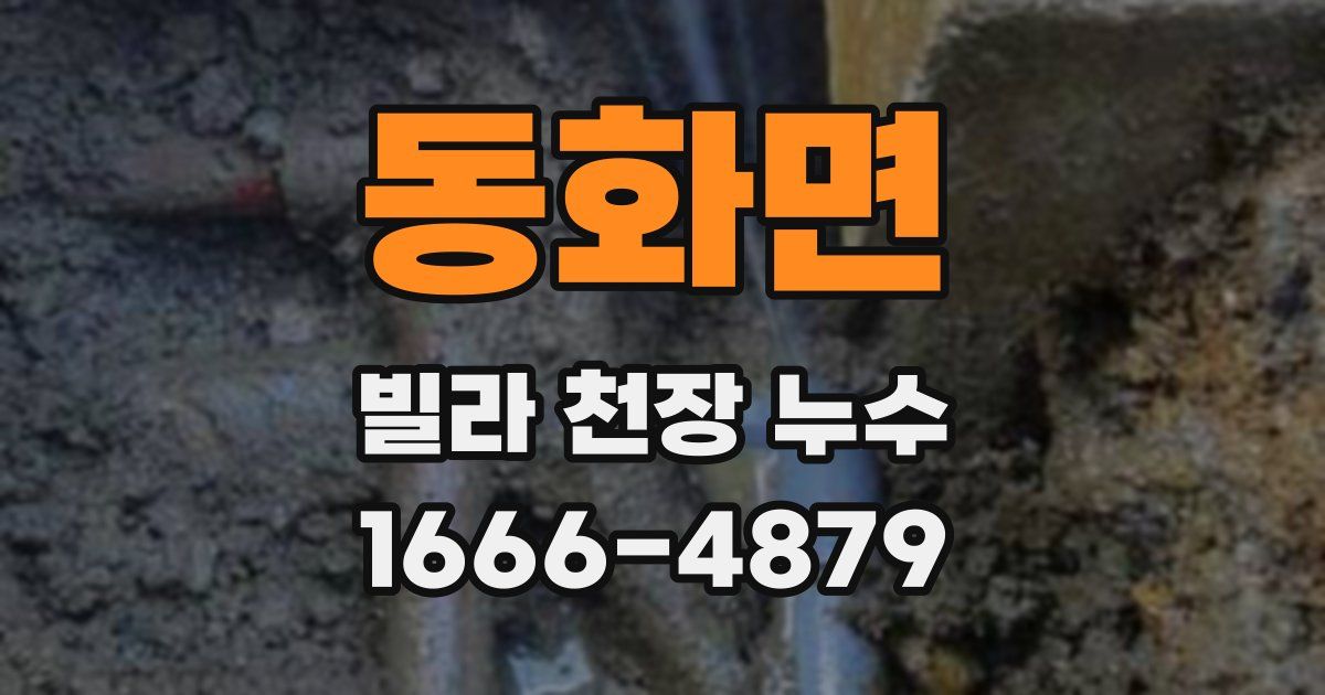 동화면 빌라 천장 누수