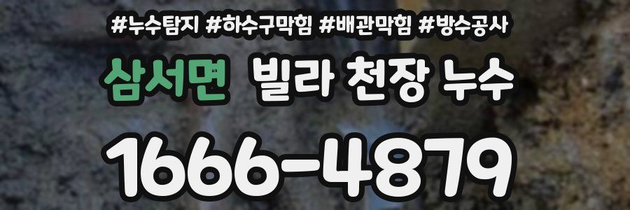 삼서면 빌라 천장 누수