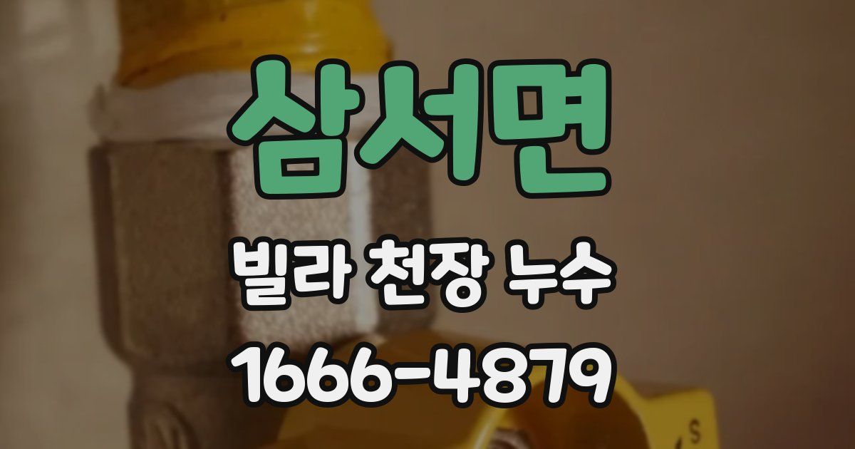 삼서면 빌라 천장 누수