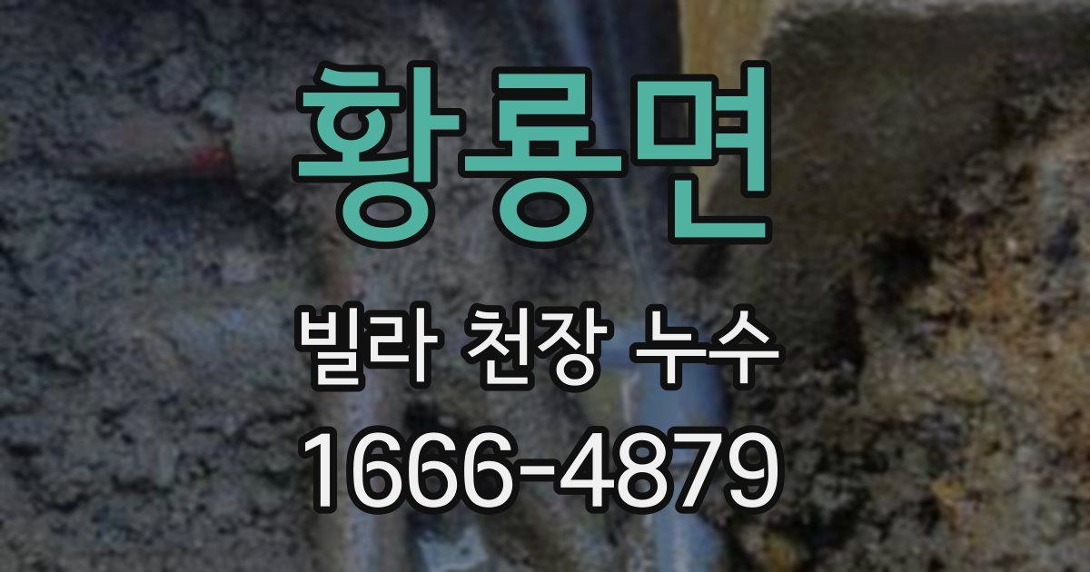 황룡면 빌라 천장 누수