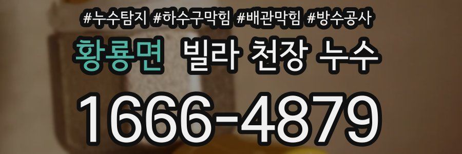황룡면 빌라 천장 누수