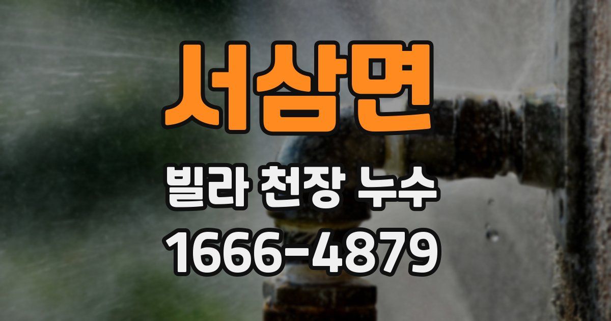서삼면 빌라 천장 누수