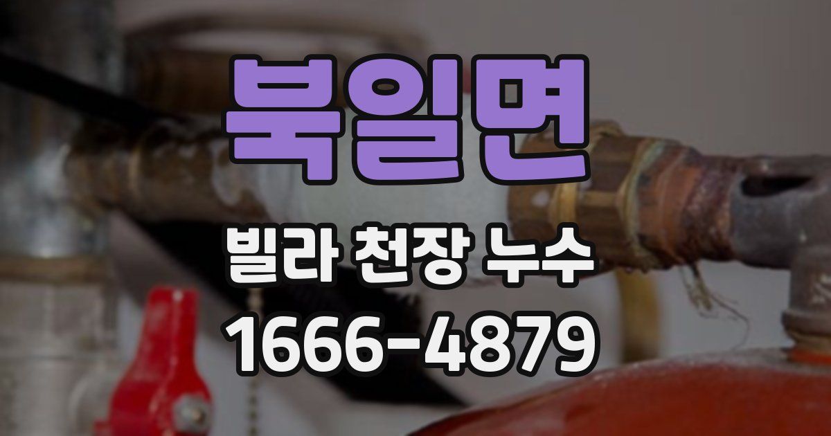 북일면 빌라 천장 누수
