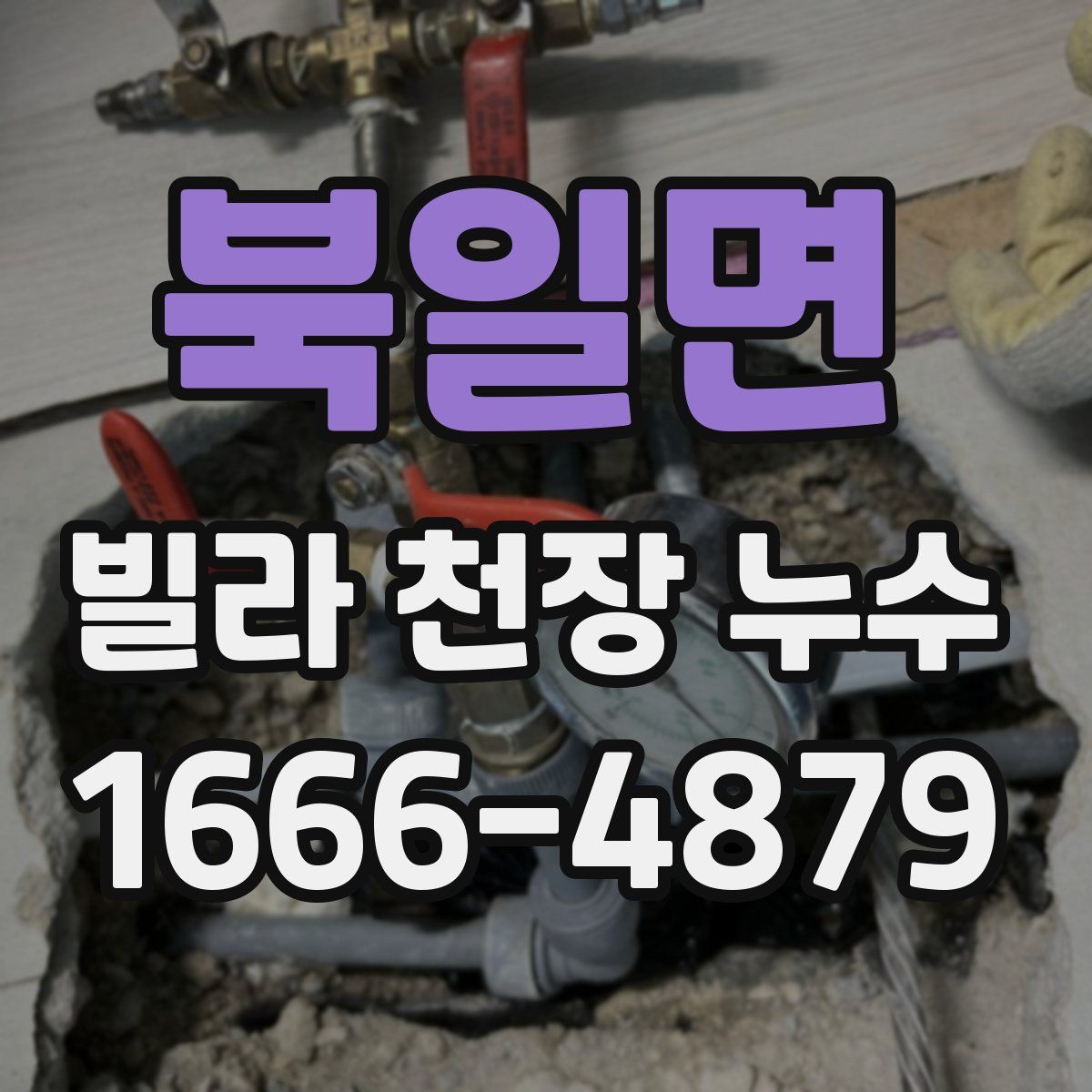 북일면 빌라 천장 누수
