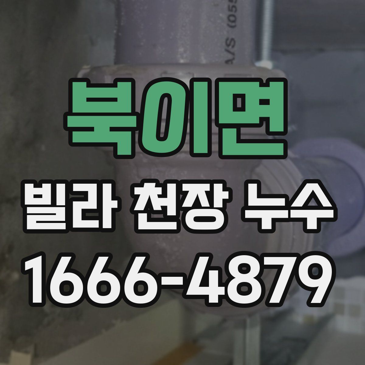 북이면 빌라 천장 누수