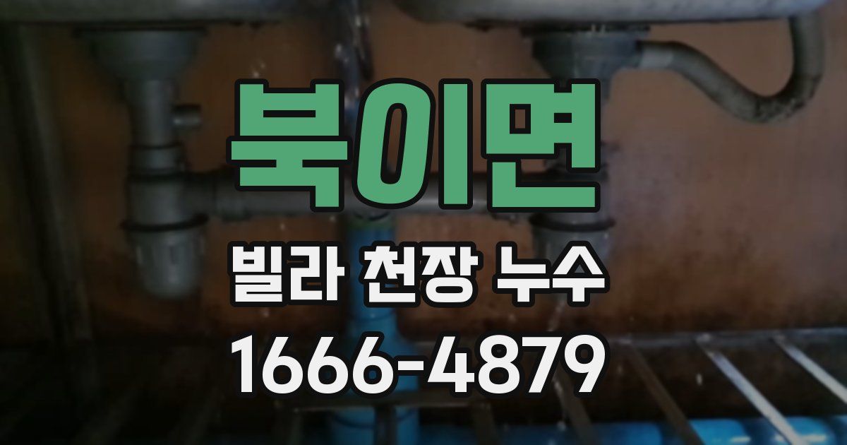 북이면 빌라 천장 누수