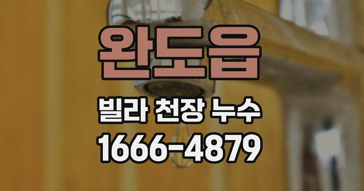 완도읍 빌라 천장 누수