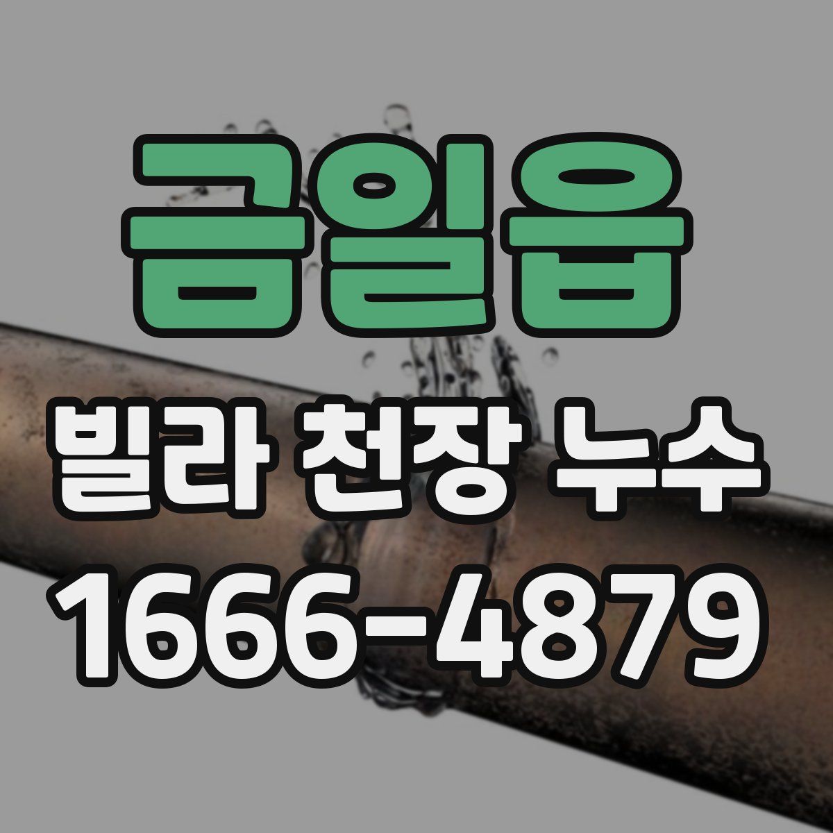금일읍 빌라 천장 누수