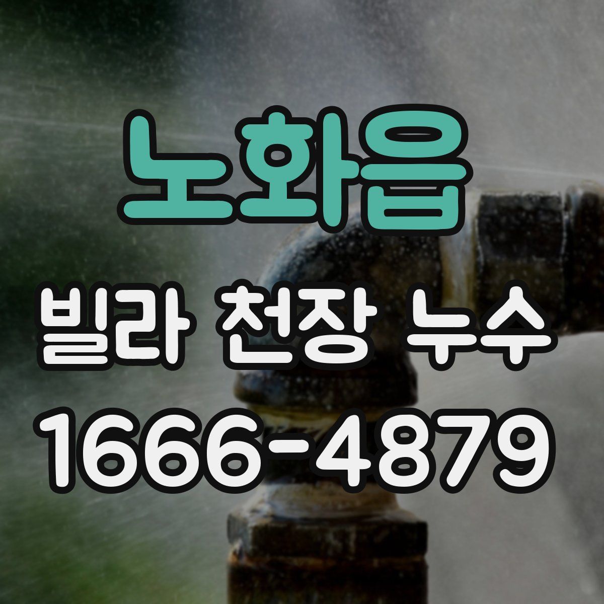 노화읍 빌라 천장 누수