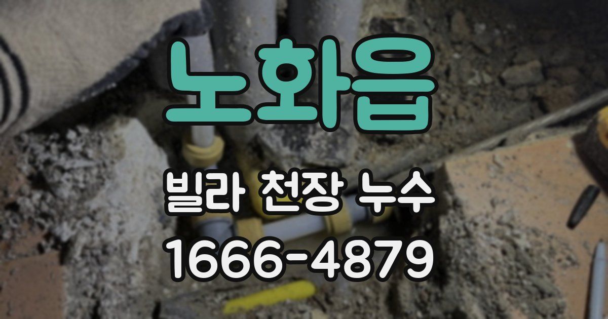 노화읍 빌라 천장 누수