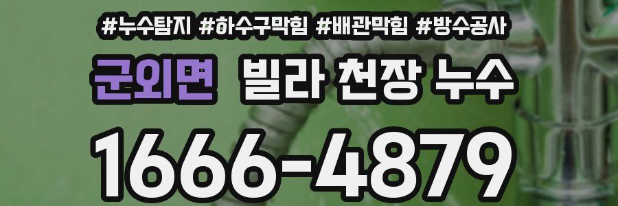 군외면 빌라 천장 누수