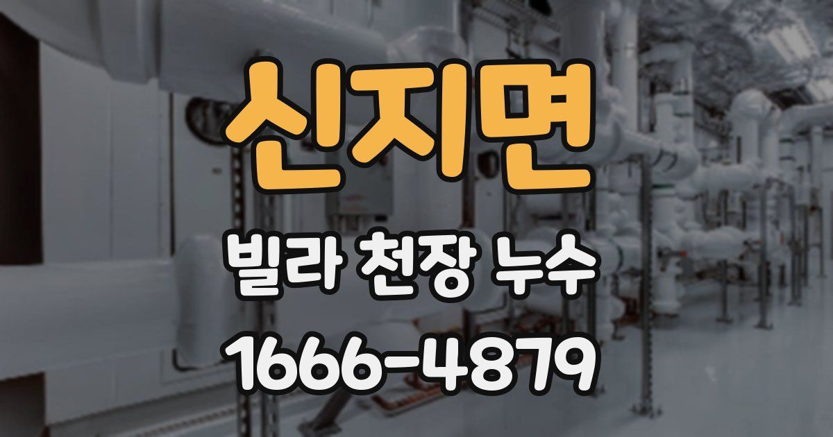신지면 빌라 천장 누수