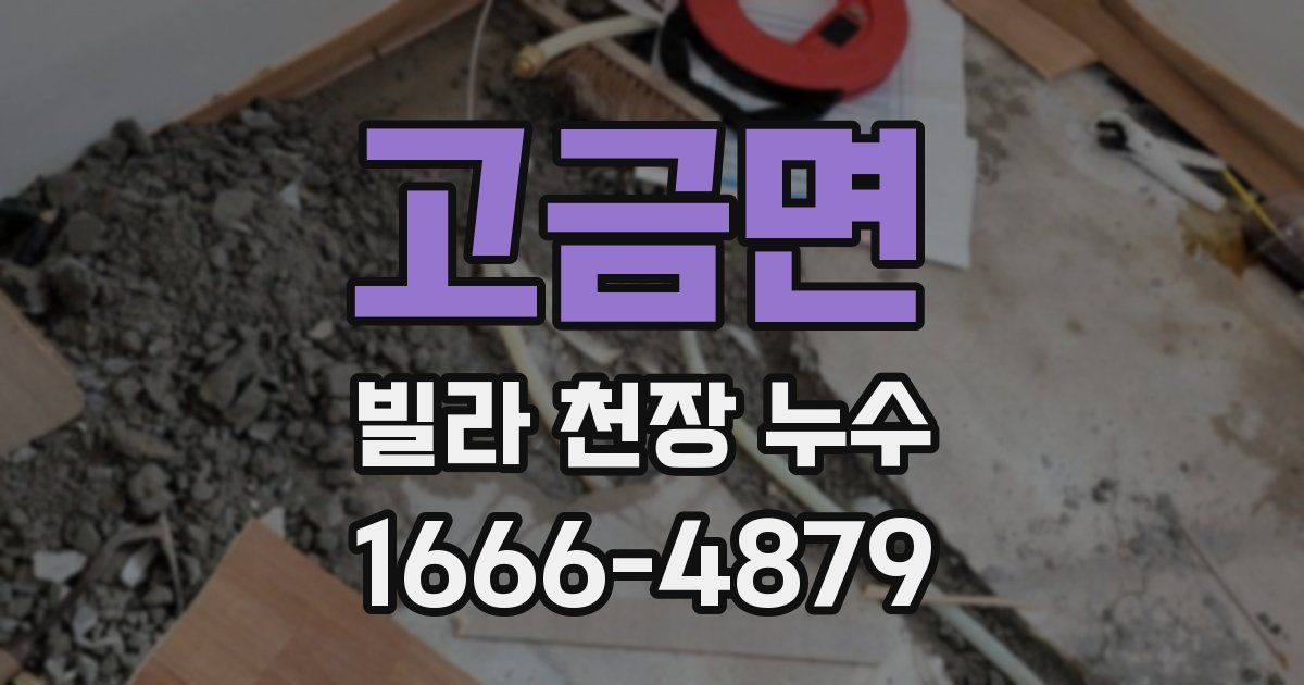 고금면 빌라 천장 누수