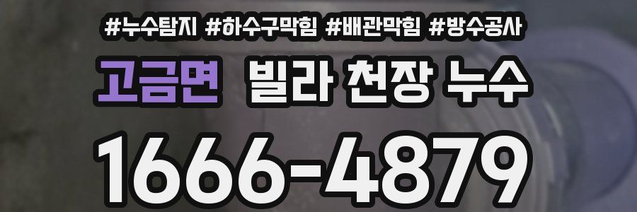 고금면 빌라 천장 누수