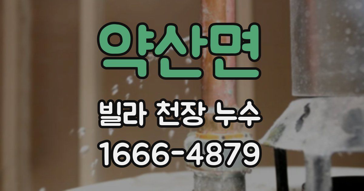 약산면 빌라 천장 누수