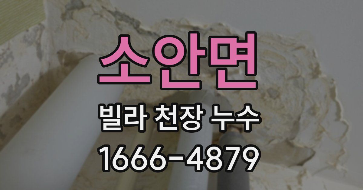 소안면 빌라 천장 누수