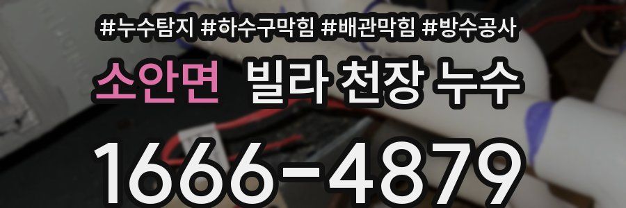 소안면 빌라 천장 누수