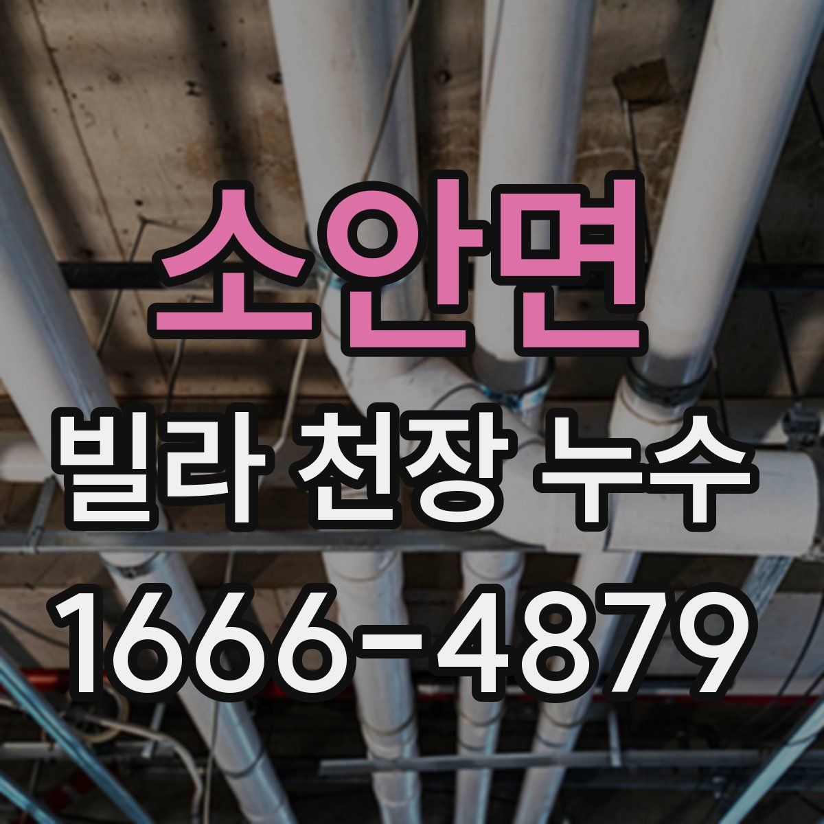 소안면 빌라 천장 누수