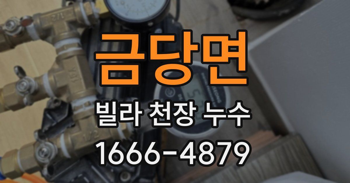 금당면 빌라 천장 누수