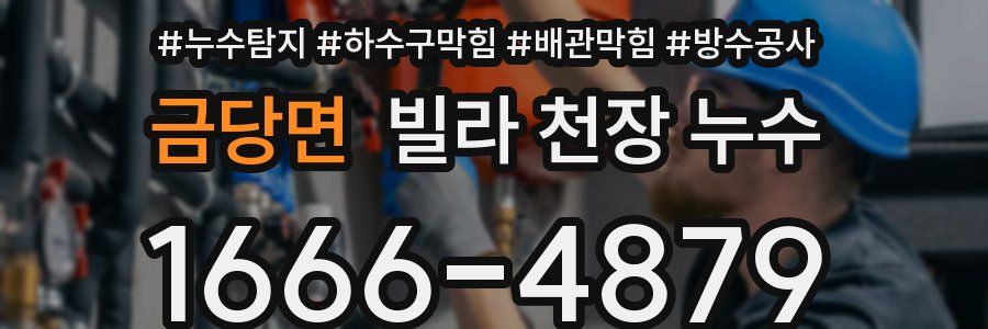 금당면 빌라 천장 누수