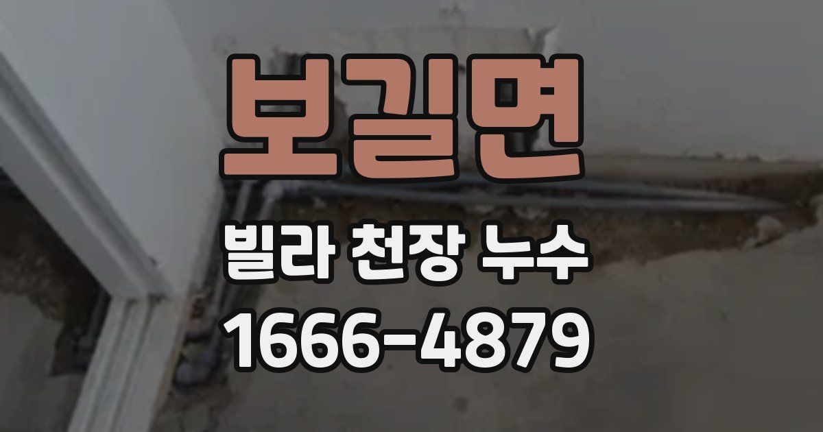보길면 빌라 천장 누수