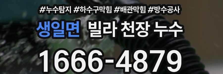 생일면 빌라 천장 누수