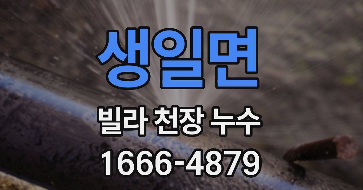 생일면 빌라 천장 누수