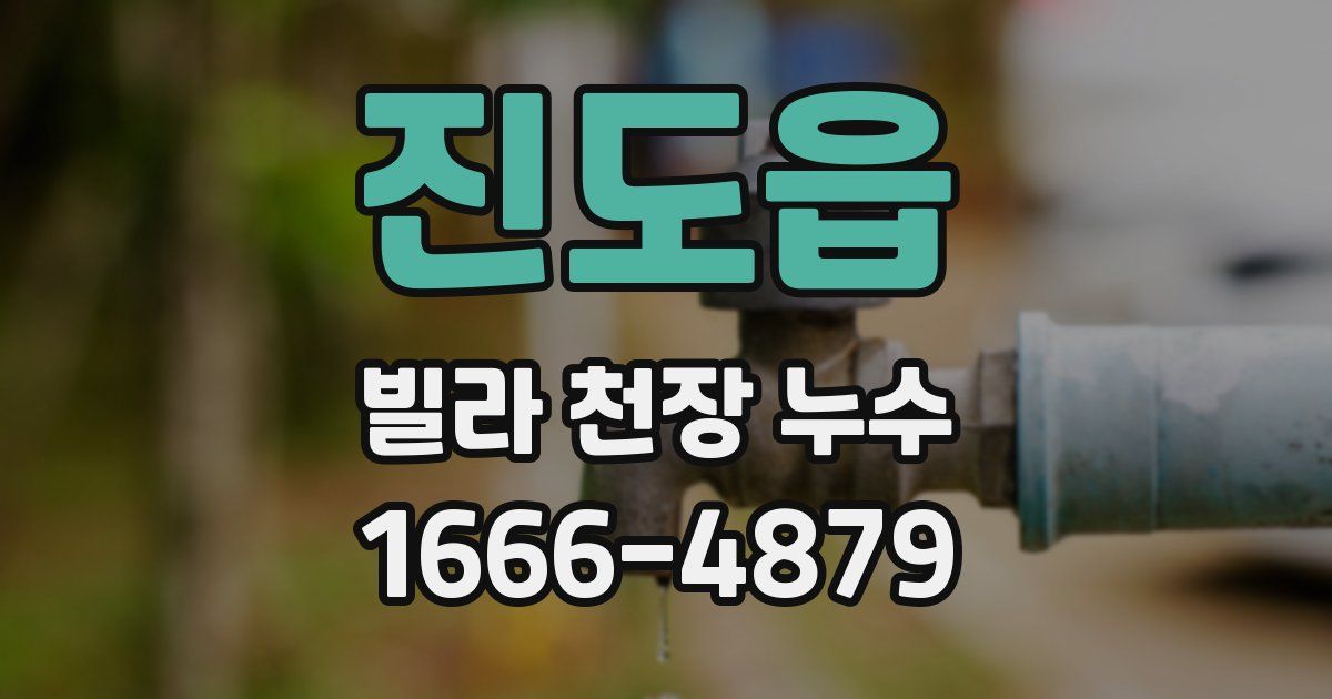 진도읍 빌라 천장 누수